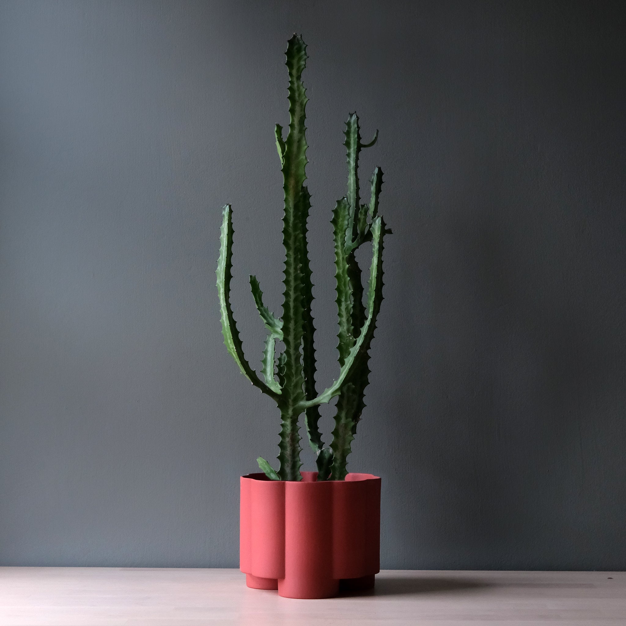 Pillar Planter