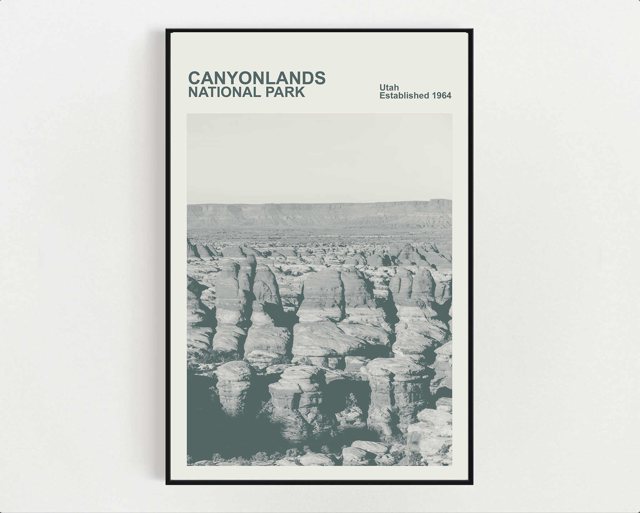 Canyonlands Lake National Park Print, Monochrome