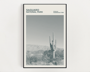 Saguaro National Park Print, Monochrome