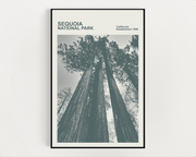 Sequoia National Park Print